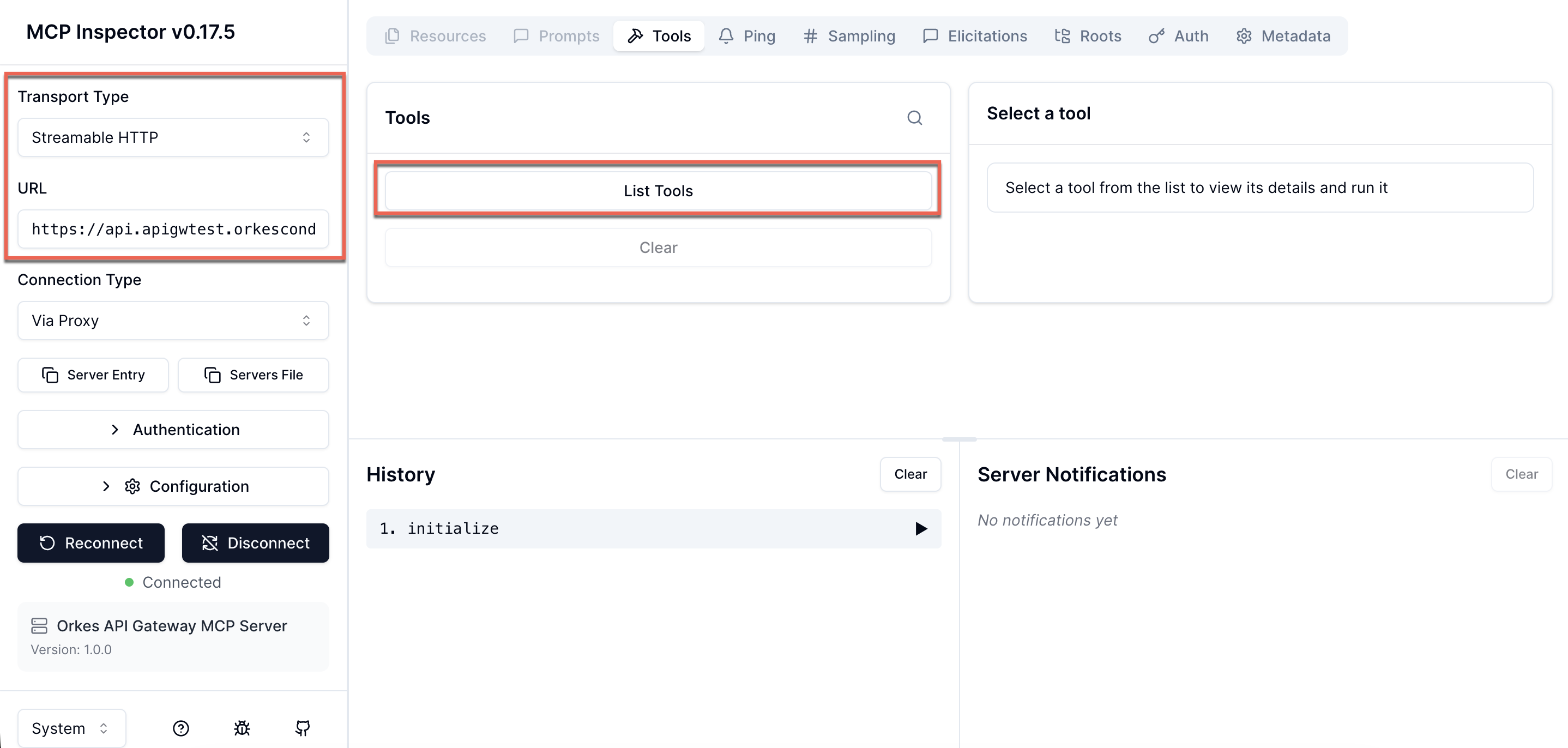 MCP Inspector configuration